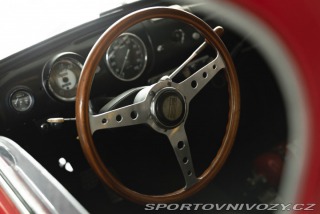 Fiat Ostatní modely 1100 TV Race Car 1955