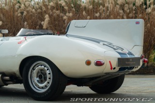 Jaguar D-Type Replica 1977