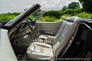 Chevrolet Corvette C3 Stingray 1975