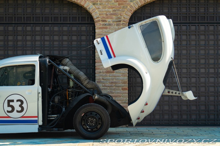 Volkswagen Brouk Maggiolino Fun Cup TDi 2003