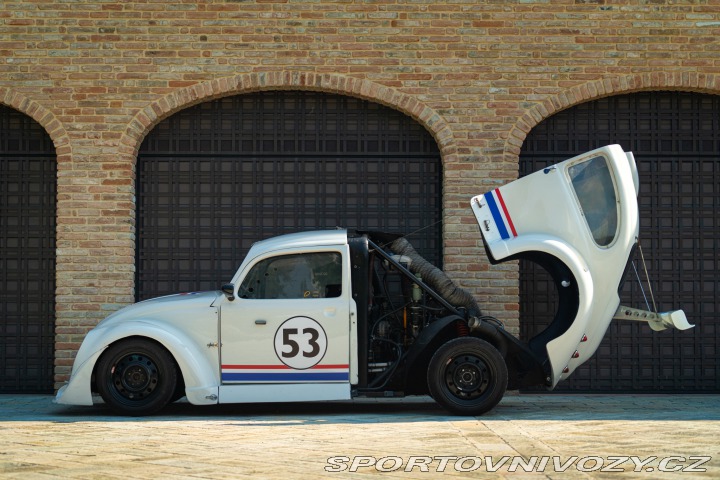 Volkswagen Brouk Maggiolino Fun Cup TDi 2003