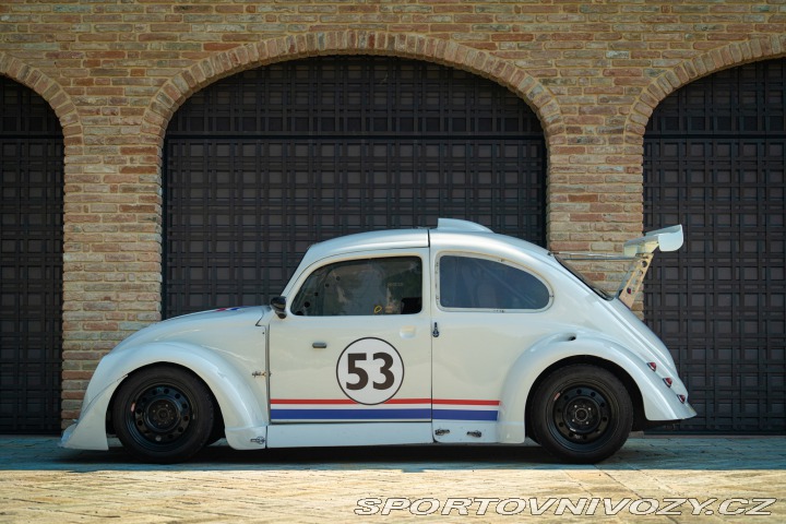 Volkswagen Brouk Maggiolino Fun Cup TDi 2003