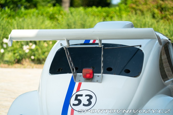 Volkswagen Brouk Maggiolino Fun Cup TDi 2003