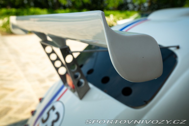 Volkswagen Brouk Maggiolino Fun Cup TDi 2003