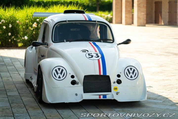 Volkswagen Brouk Maggiolino Fun Cup TDi 2003