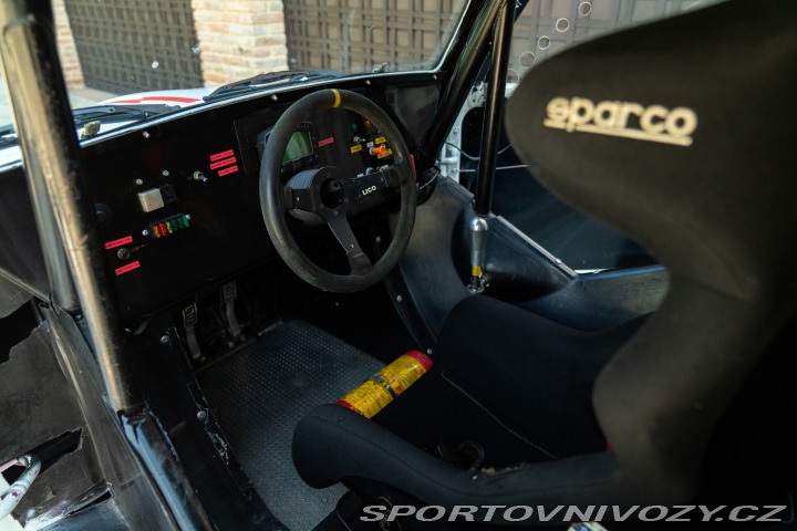 Volkswagen Brouk Maggiolino Fun Cup TDi 2003