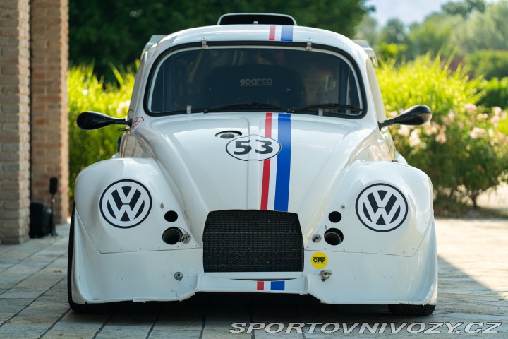 Volkswagen Brouk Maggiolino Fun Cup TDi 2003