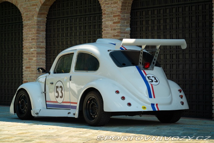Volkswagen Brouk Maggiolino Fun Cup TDi 2003
