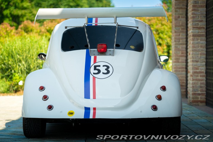Volkswagen Brouk Maggiolino Fun Cup TDi 2003