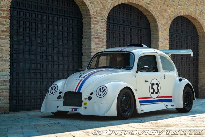 Volkswagen Brouk Maggiolino Fun Cup TDi 2003