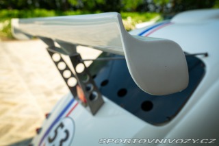 Volkswagen Brouk Maggiolino Fun Cup TDi 2003