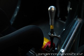 Volkswagen Brouk Maggiolino Fun Cup TDi 2003