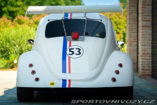 Volkswagen Brouk Maggiolino Fun Cup TDi 2003
