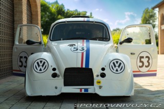 Volkswagen Brouk Maggiolino Fun Cup TDi 2003