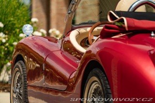 Ostatní značky Ostatní modely Hurtan Albaycin Roadster 2005