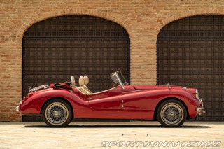 Ostatní značky Ostatní modely Hurtan Albaycin Roadster 2005