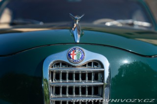 Alfa Romeo 1900  1953
