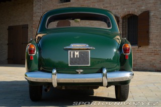 Alfa Romeo 1900  1953