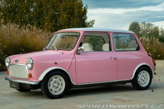 Mini  1.3 cat