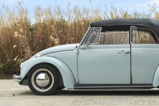 Volkswagen Brouk MAGGIOLINO CABRIOLET 1500 1970
