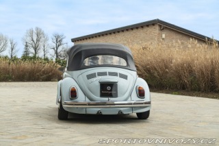 Volkswagen Brouk MAGGIOLINO CABRIOLET 1500 1970