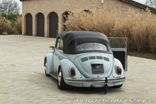 Volkswagen Brouk MAGGIOLINO CABRIOLET 1500 1970