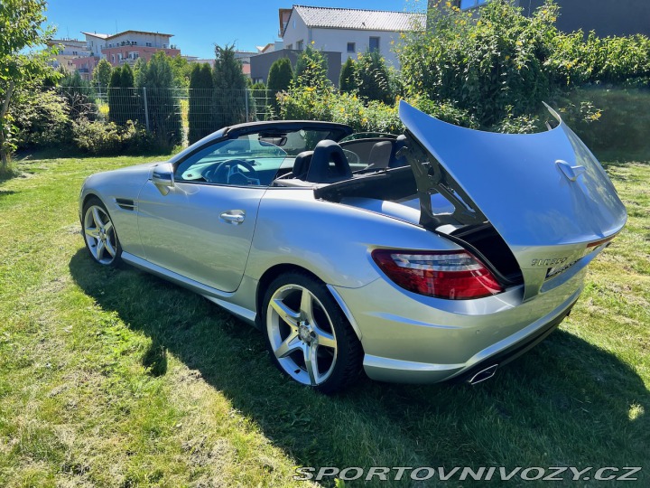 Mercedes-Benz SLK SLK 350 BlueEFFICIENCY 2012