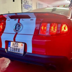 Ford Mustang Shelby 2012