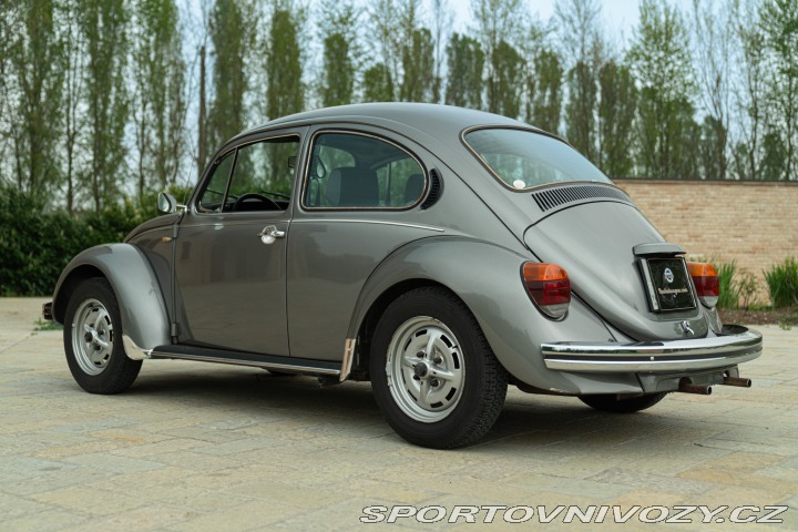 Volkswagen Brouk Maggiolino Giubileo 1986