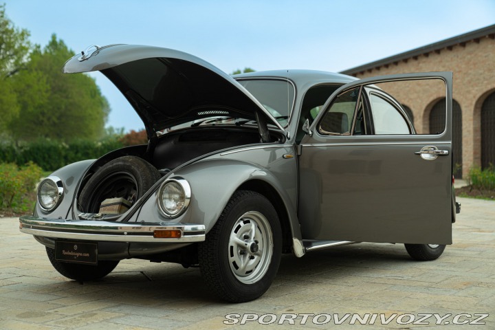 Volkswagen Brouk Maggiolino Giubileo 1986