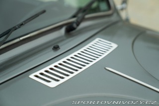 Volkswagen Brouk Maggiolino Giubileo 1986