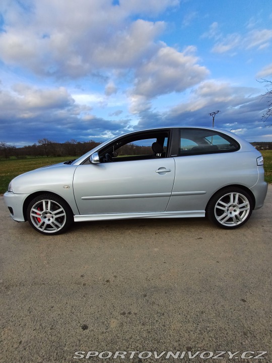 Seat Ibiza Cupra 1.9tdi 2006
