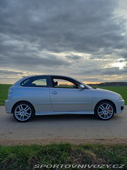 Seat Ibiza Cupra 1.9tdi 2006