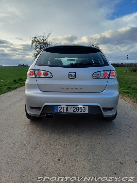 Seat Ibiza Cupra 1.9tdi 2006
