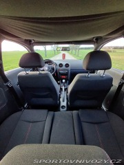 Seat Ibiza Cupra 1.9tdi 2006