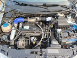 Seat Ibiza Cupra 1.9tdi 2006