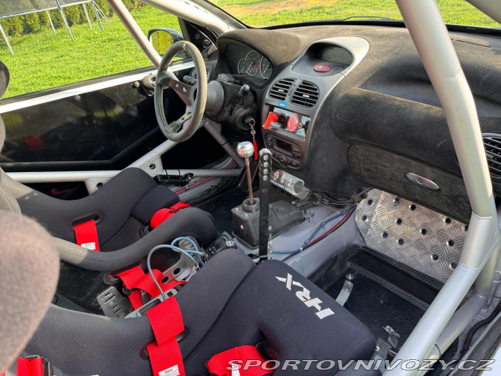 Peugeot 206 Peugeot 206 RC 2004