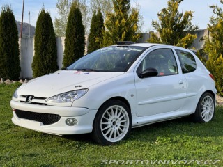 Peugeot 206 Peugeot 206 RC 2004
