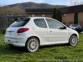 Peugeot 206 Peugeot 206 RC 2004