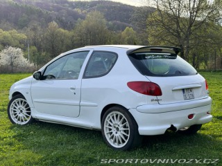 Peugeot 206 Peugeot 206 RC 2004