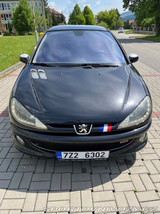 Peugeot 206  2004