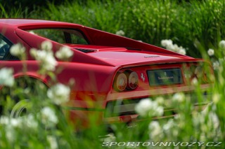 Ferrari 308 GTB Carter Secco 1981