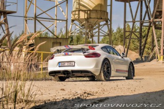 Porsche Cayman GT4 2016