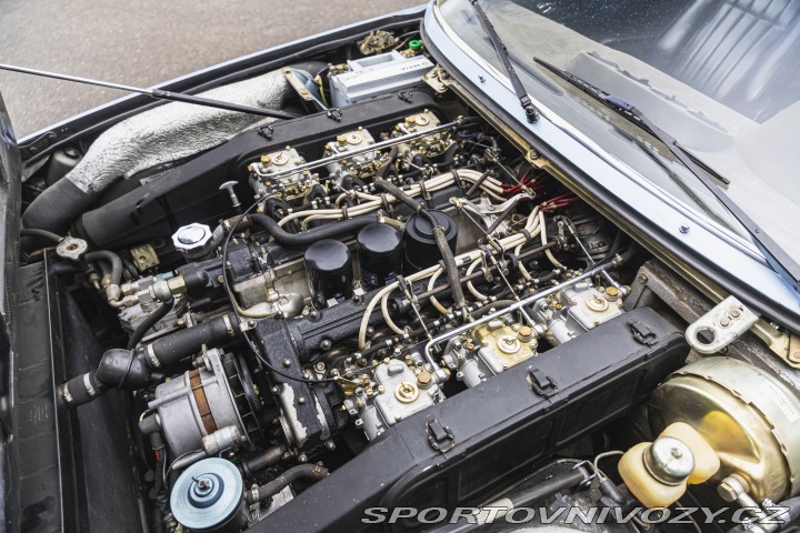 Ferrari 365 GT4 2+2 1975