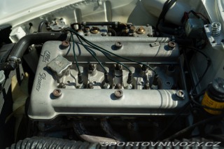 Alfa Romeo Giulia SPRINT SPECIALE 1963