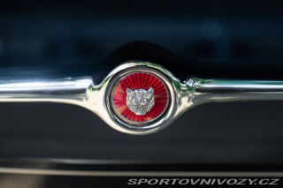 Jaguar E-Type 3.8 Coupé 1962