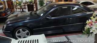 Mercedes-Benz S C215 CL 500 1991