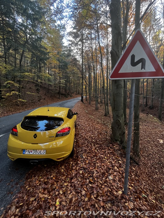 Renault Mégane RS CUP 2012