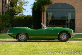 Ostatní značky Ostatní modely Elva COURIER MKII 1960