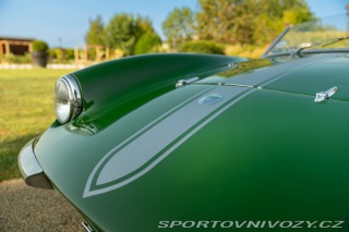 Ostatní značky Ostatní modely Elva COURIER MKII 1960